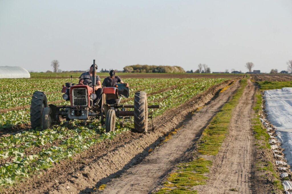 Fotos de stock gratuitas de agricultor, agricultura, agricultura moderna