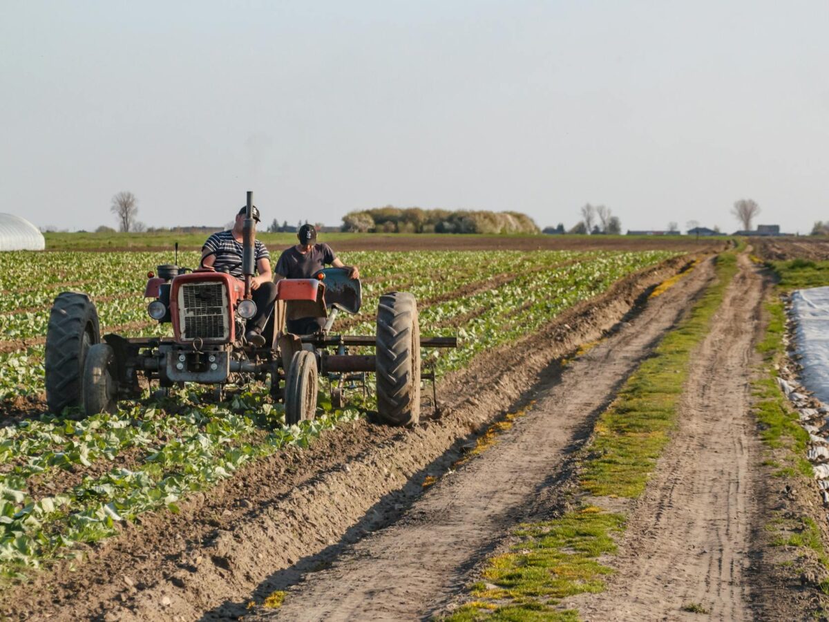 Fotos de stock gratuitas de agricultor, agricultura, agricultura moderna